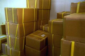 トレンドコーデに悩んだらおすすめ