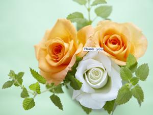 食用金箔とは?健康への影響について