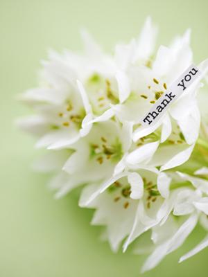 彫金の基礎から応用まで徹底解説!2025年最新版の技術とデザインの極意