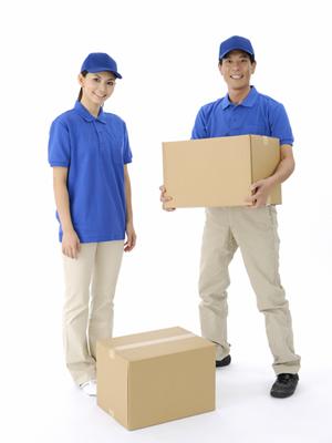 「愛するペットのための療法食を通販で手軽に!安全・安心な選び方ガイド」