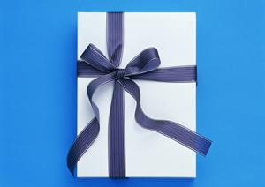 【最新2024年版】安全性とデザインに優れた焚き火台選びのポイントとおすすめモデル