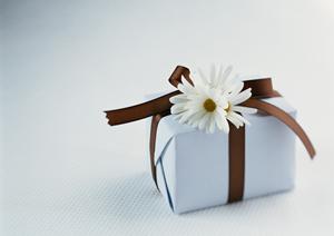 目の健康を考えるなら必見！コンタクトレンズの通販サイトで便利に購入しよう